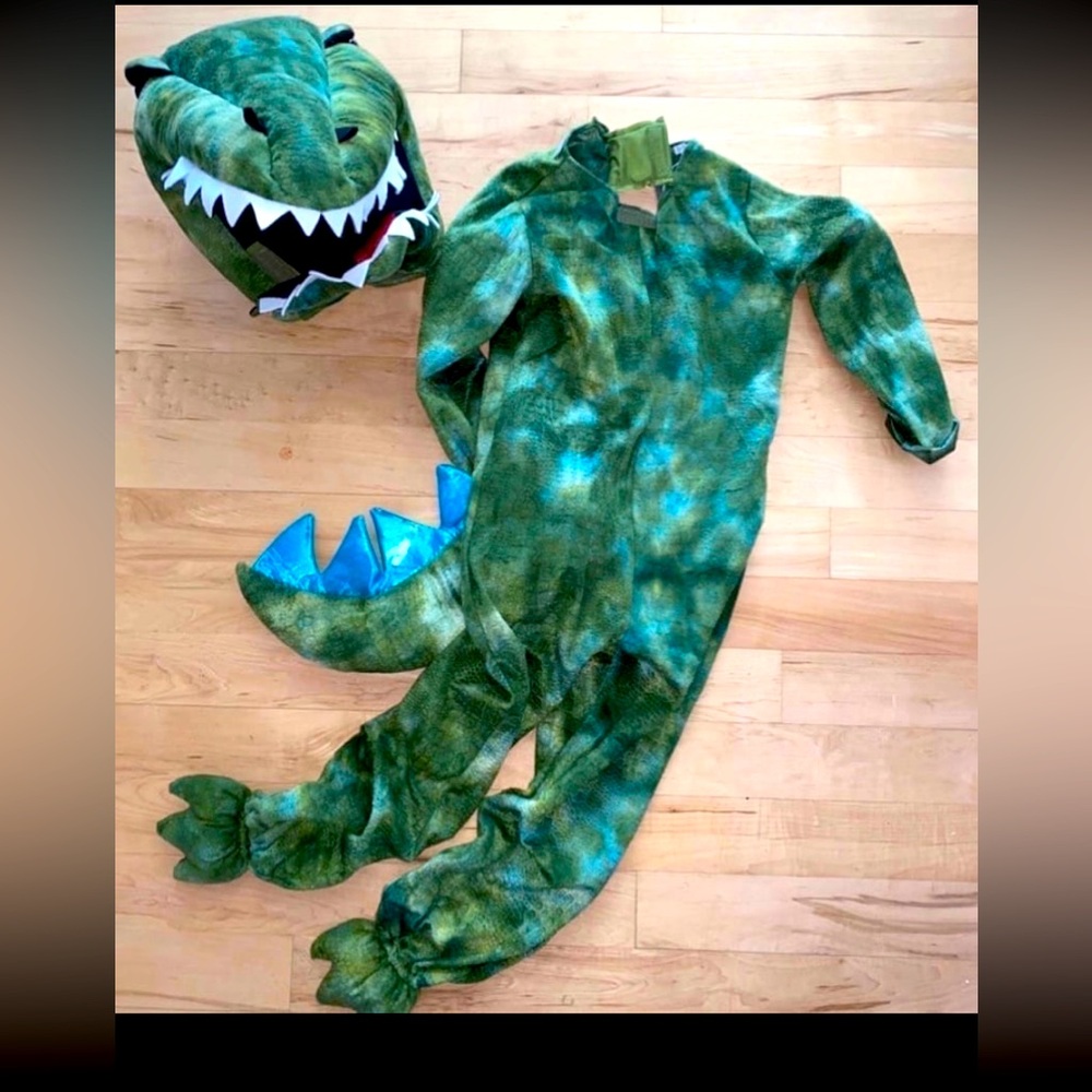 Pottery Barn dinosaur light up costume. Like new.